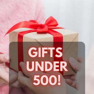Corporate Gifts Under 500