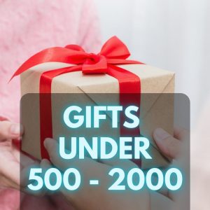 Corporate Gifts Under 500 To 2000