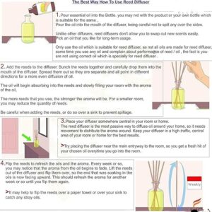 reed diffuser manual purple