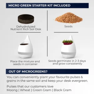 EOPlantpotbotanicalplanterindoorgardeningofficedeskbalcony 2000x2000 12