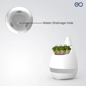 EOPlantpotbotanicalplanterindoorgardeningofficedeskbalcony 2000x2000 8