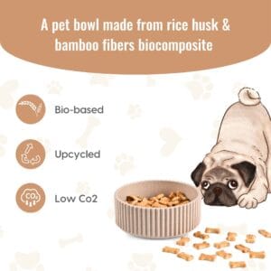 EcoPaws Feeding Bowl Duo 4 Ecocog bowl2