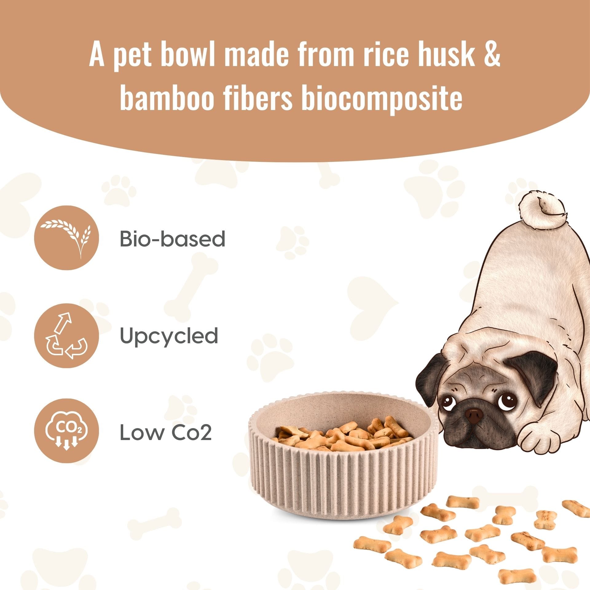 Ecocog bowl2 Ecocog bowl2