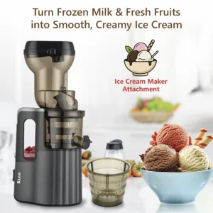 Slow Berry Juicer SJ25082
