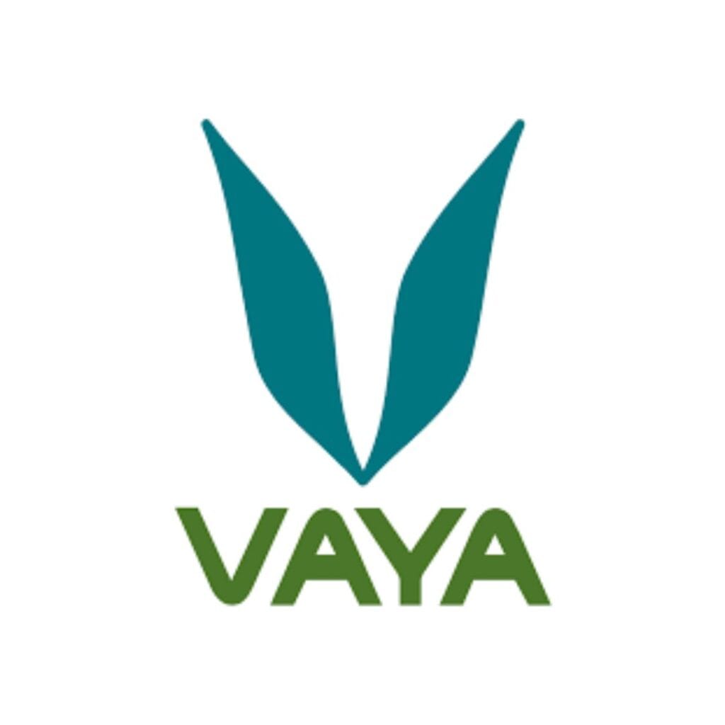 vaya - giftanaindia