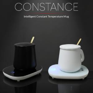 Electric Constant Temperature Heating Mug