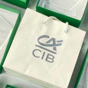 Premium Crystal Trophy with Gift Box for Corporate Awards 3