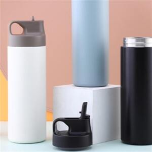 Premium Matte Stainless Steel Bottle for Corporate Gifting 4