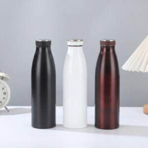 Steel Bottle for Corporate Gifting